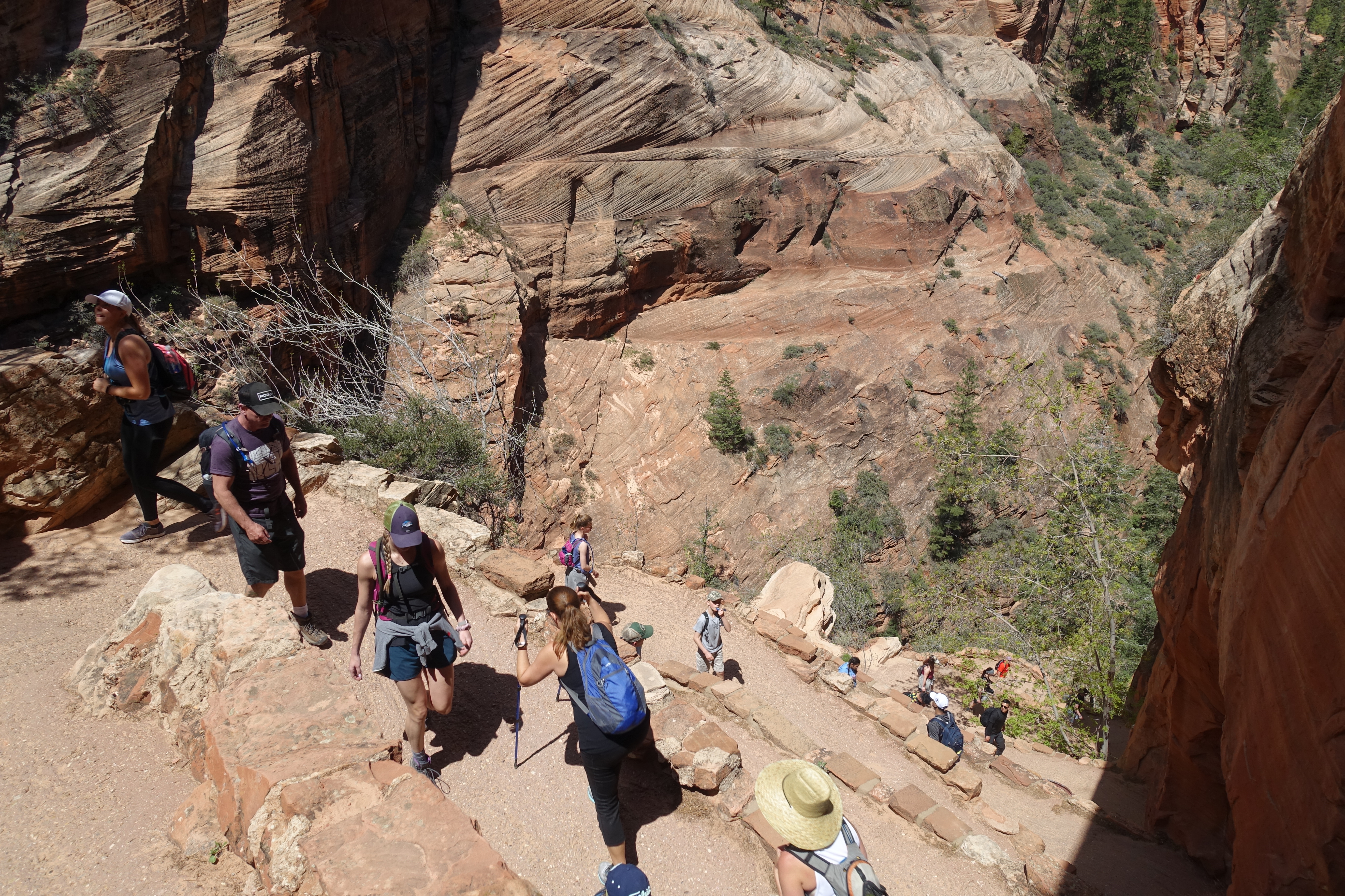 Angels landing